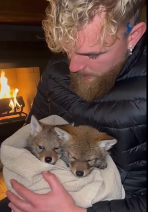 helped family of wolves,then (Part 2)