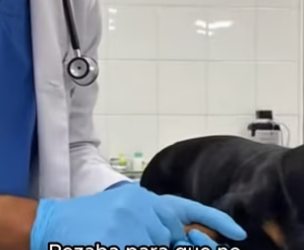 V2602002 Final increíble (Part 2)