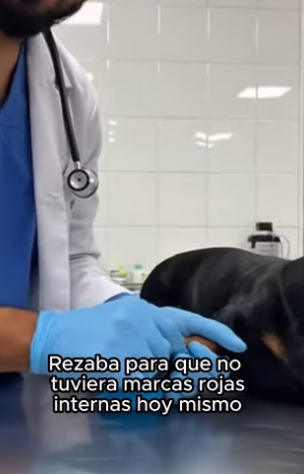 V2602002 Final increíble (Part 2)