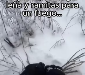 R2702007 Mis ángeles personales (Part 2)