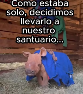 R2702011 Animales mercen amor (Part 2)