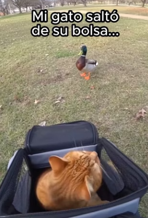 R2702008 Solo querían que alguien se preocupara (Part 2)