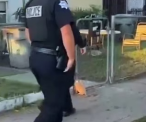 I encountered a small dog stuck in the fence during my patrol (Part 2)