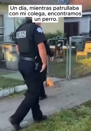 I encountered a small dog stuck in the fence during my patrol (Part 2)