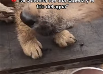 M0402001 Mi condena fue una cadena el frío del agua (Parte 2)