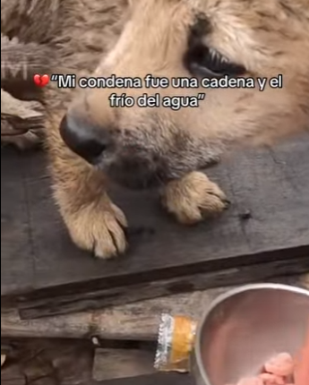 M0402001 Mi condena fue una cadena el frío del agua (Parte 2)