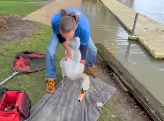 I2802008 Your kindness saved his life Thanks (Part 2)