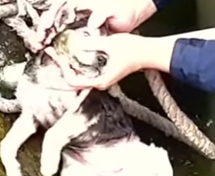 M0402006 Me ahogue sin poder moverme Solo por morder unas chancletas (Parte 2)