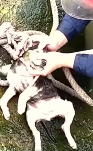 M0402006 Me ahogue sin poder moverme Solo por morder unas chancletas (Parte 2)