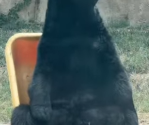 A2801001 The guardian who never abandoned her (Parte 2)