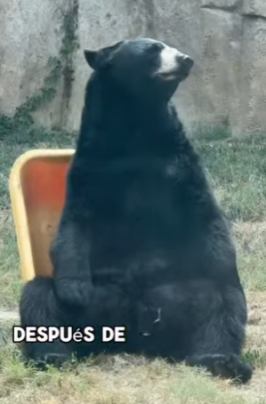 A2801001 The guardian who never abandoned her (Parte 2)