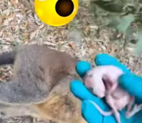 A2801003 Cree que el destino le guiará a realizar una buena (Parte 2)