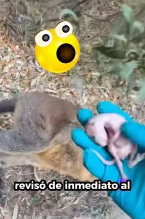 A2801003 Cree que el destino le guiará a realizar una buena (Parte 2)