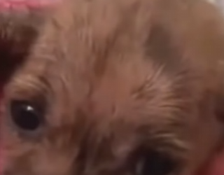 M2802004 Me abandonaron porque mi enfermedad les dio asco (Parte 2)