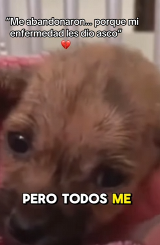 M2802004 Me abandonaron porque mi enfermedad les dio asco (Parte 2)