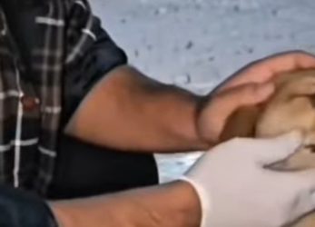 M2802012 Golpeado, oculto sin esperanza así me encontraron (Parte 2)