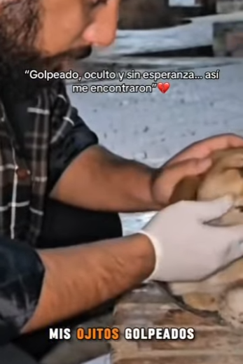 M2802012 Golpeado, oculto sin esperanza así me encontraron (Parte 2)