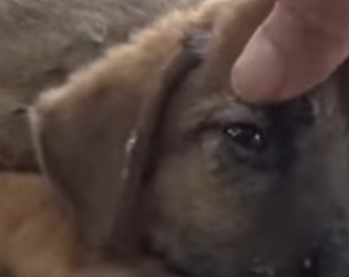 M2802009 Me golpearon por una chancleta ese día casi perdí mi vida (Parte 2)