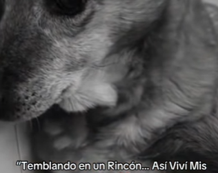 M2802001 Temblando en un Rincón Así Viví Mis Días (Parte 2)