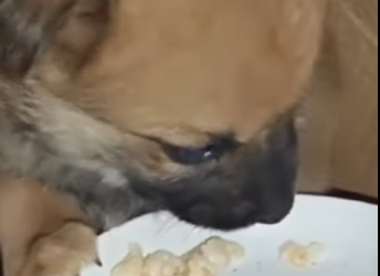 M2802011 Mi vida era temblar lloraba por miedo (Parte 2)