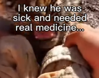 Z2602011 This Stopped Me in My Tracks (Part 2)