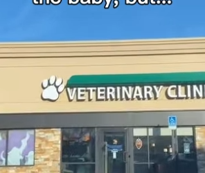 Z2602004 Should I Keep the (Part 2)