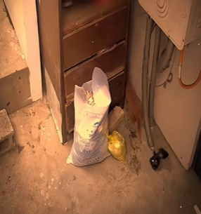 V2802006 Gatito con sus patitas golpeadas te hará llorar (Parte 2)