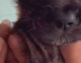 M0402009 Entre golpes hambre soñaba con un Hogar (Parte 2)