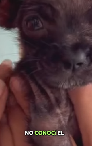 M0402009 Entre golpes hambre soñaba con un Hogar (Parte 2)