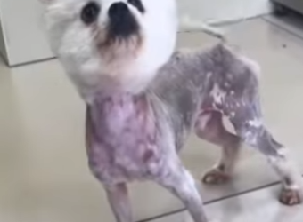 M0402003 Tenía sed, hambre esperanza en la persona equivocada (Parte 2)