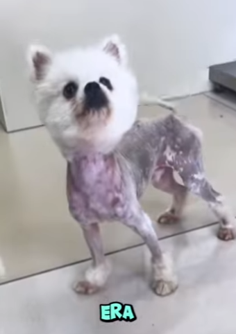 M0402003 Tenía sed, hambre esperanza en la persona equivocada (Parte 2)