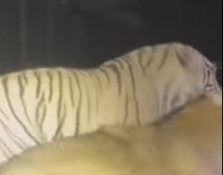 P2802006 Her Baby Slept Beside Me While She Fought Wolves in Blizzard. (Part 2)