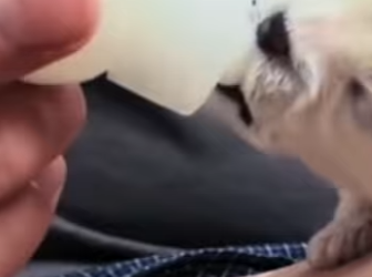 M0402005 Nací para morir (Parte 2)