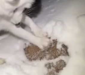 P2802009 She Came Back in Storm Alone (Part 2)