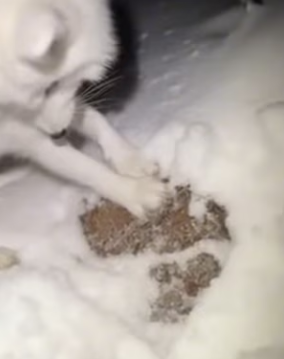 P2802009 She Came Back in Storm Alone (Part 2)