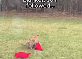 F2802006 Caught Him Stealing. Then Saw Why (Part 2)