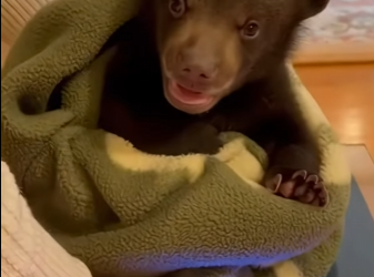 P0202004 Care stepped in at the right moment (Part 2)