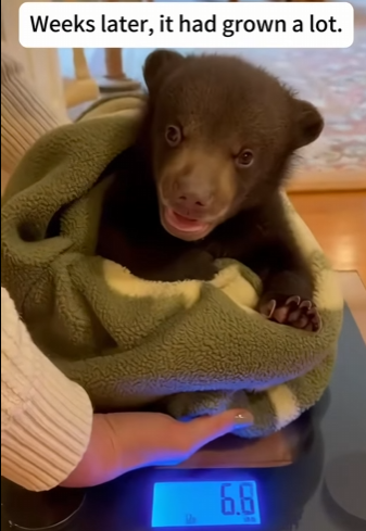 P0202004 Care stepped in at the right moment (Part 2)