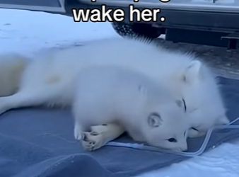 P0202003 From risk to reassurance (Part 2)