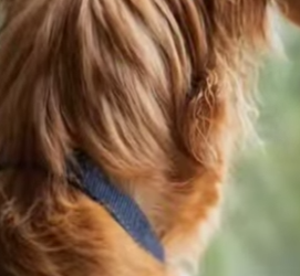 V0402001 La historia de Milo (Parte 2)