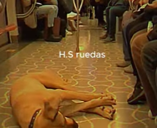 V0402014 le gustaba salir pasear por la ciudad (Parte 2)