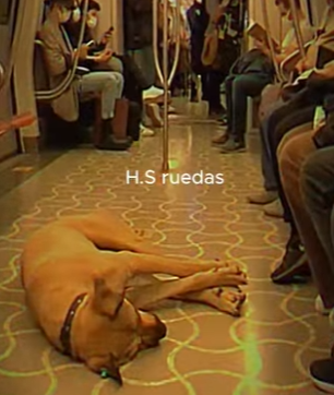 V0402014 le gustaba salir pasear por la ciudad (Parte 2)