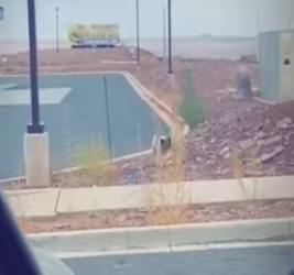 V0402012 este perrito fue rescatado por un hombre que fue visitar el gran ca (Parte 2)