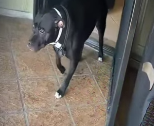 V0402009 el reencuentro más bonito que verás hoy (Parte 2)