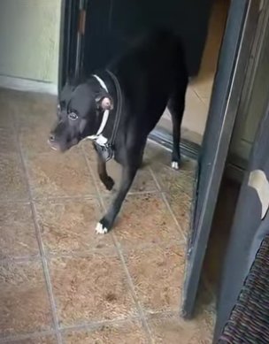 V0402009 el reencuentro más bonito que verás hoy (Parte 2)