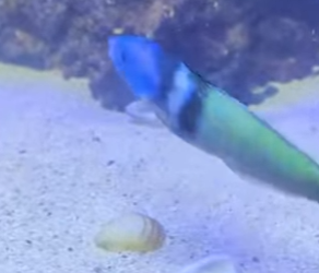 L0202007 La ayuda hizo posible el cambio (Parte 2)