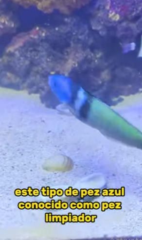 L0202007 La ayuda hizo posible el cambio (Parte 2)