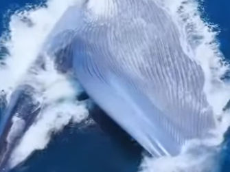 L0202005 El rescate abrio un futuro (Parte 2)