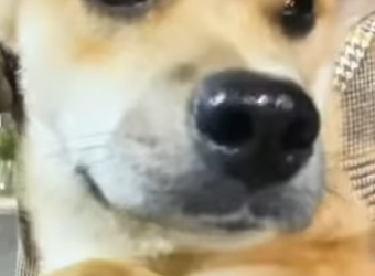 L0202001 Una historia encontro esperanza (Parte 2)