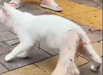 A0202007 Una nueva oportunidad comenzo hoy (Parte 2)